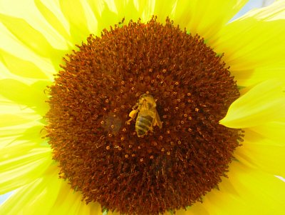 dscf9046-1.jpg