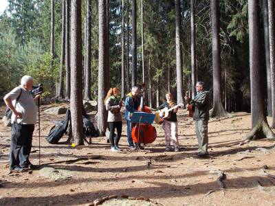 Lesní muzikanti