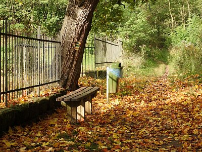 dscn1056-barevnym-podzimem-do-lesa.jpg