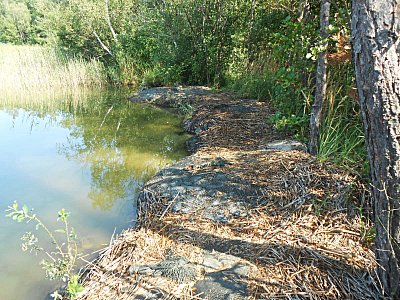 dscn2077-1.jpg