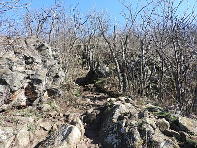 dscn2766-2.jpg