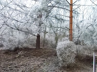 dscn2980.jpg