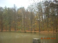 park