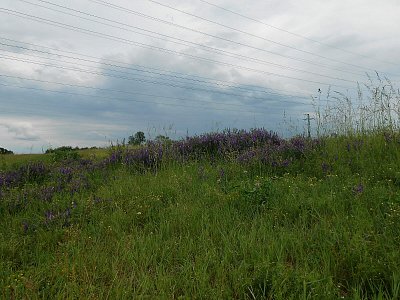 dscn4841-1.jpg