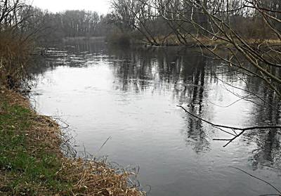 dscn5579-a.jpg