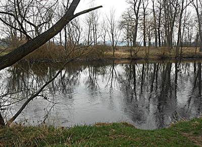 dscn5599-a.jpg