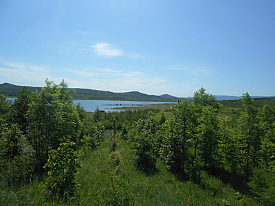 dscn6001.jpg