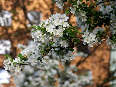 dscn6220.jpg