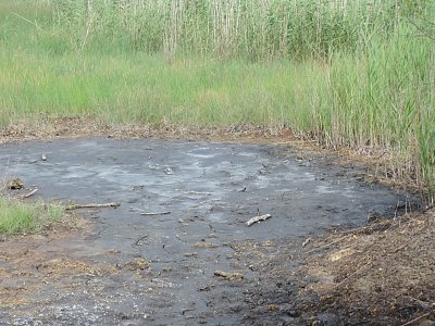 dscn6405.jpg