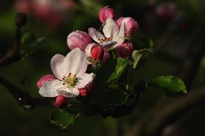 dscn6628-3.jpg