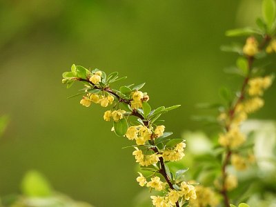 dscn6635-2.jpg
