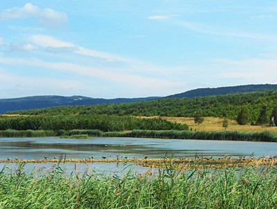 dscn6726-3.jpg