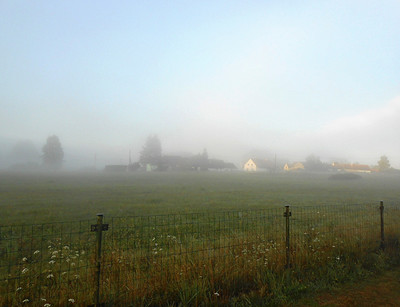 dscn7342.jpg