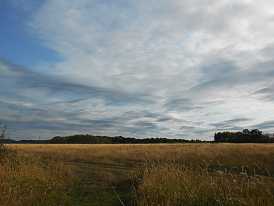 dscn7714.jpg