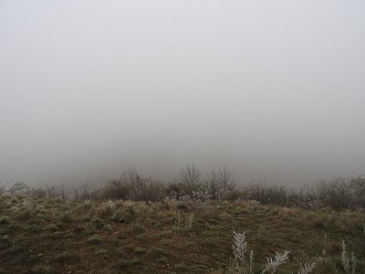 dscn7957-vyhled-nikam.jpg