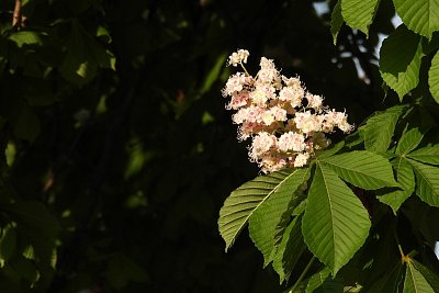dscn8015.jpg