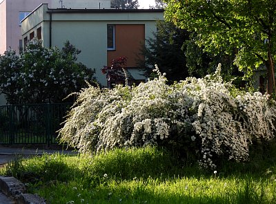 dscn8020.jpg