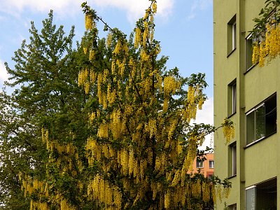 dscn8033-1.jpg
