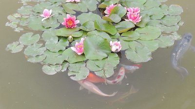 dscn8465.jpg