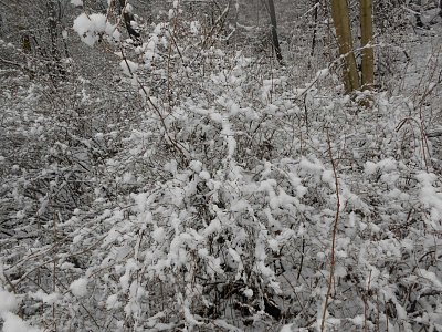 dscn8582.jpg