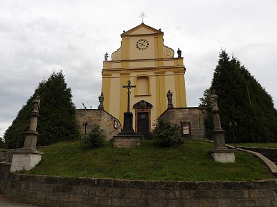 dscn8745-ruzova.jpg