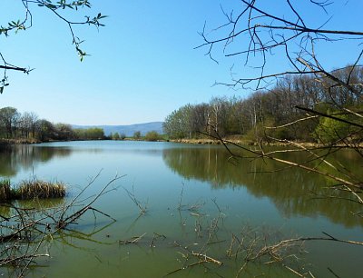 dscn9525.jpg