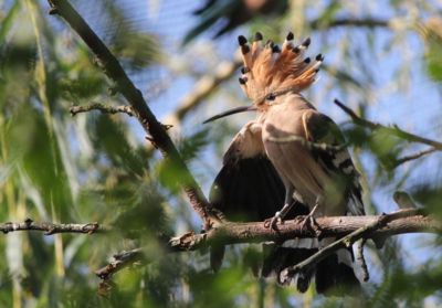 Poklady naší přírody