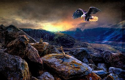 Orol a had - príbeh, ktorý môže ovplyvniť náš postoj k hádkam a zvadám