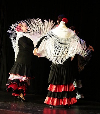 flamenco2-1.jpg