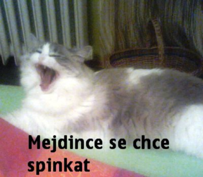 Mejdynce se chce spinkat.