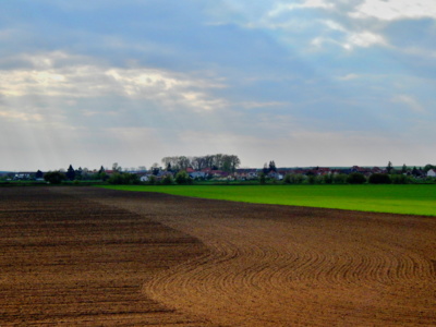 Serpentýny a paprsky