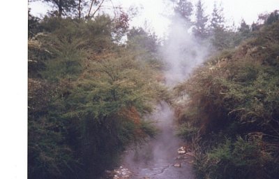 Horká řeka u silnice
