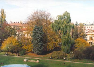 hradec-zizkovy-sady-5-.jpg