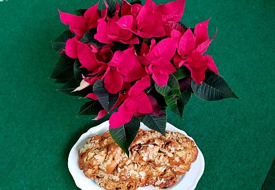 Dnes mi začaly Vánoce (nesoutěžní)