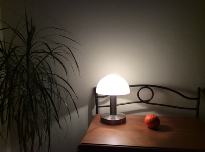 Zátiší s pomerančem