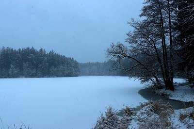 Rybník Vidlák v zimě