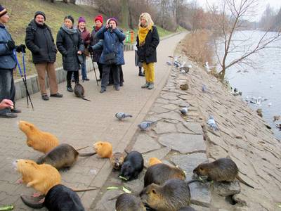 nutrie a fotící senioři