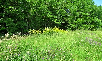 img-0326.jpg