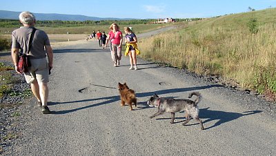 img-1552-2.jpg
