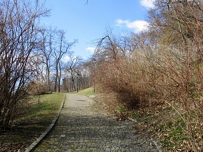 cesta v zahradě