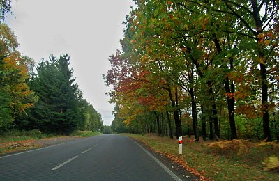 img-1684-3.jpg