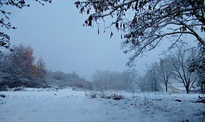 img-1942.jpg