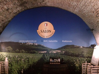 Logo Salon vín