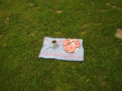 Snídaně v trávě.