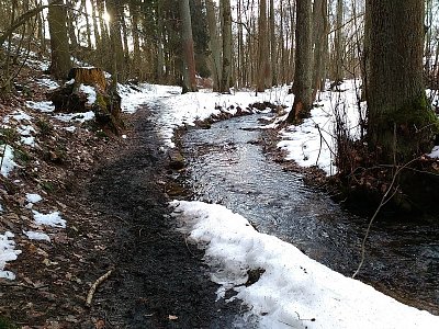 Turistická stezka vede po břehu Rozkošského potoka