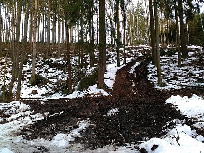 Taková spoušť zde zůstala po odklízení spadlých stromů