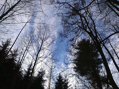 Modrá obloha nad hlavou a příjemné zimní odpoledne mě nabíjí radostí a energií