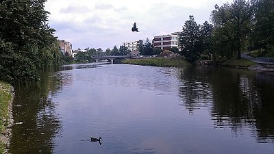 Sázava. Kalinovo nábřeží je vidět vlevo, naproti vpravo hotel Slunce