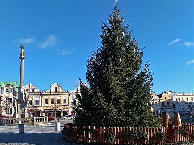 Poslední neděle vánočního smrku na Havlíčkově náměstí v HB