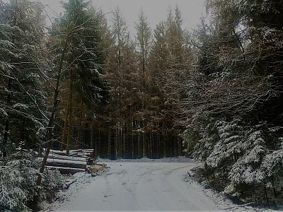 Zaparkovali jsme na okraji odbočky z hlavní silnice